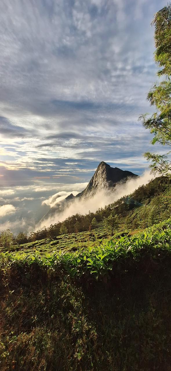 Munnar journey