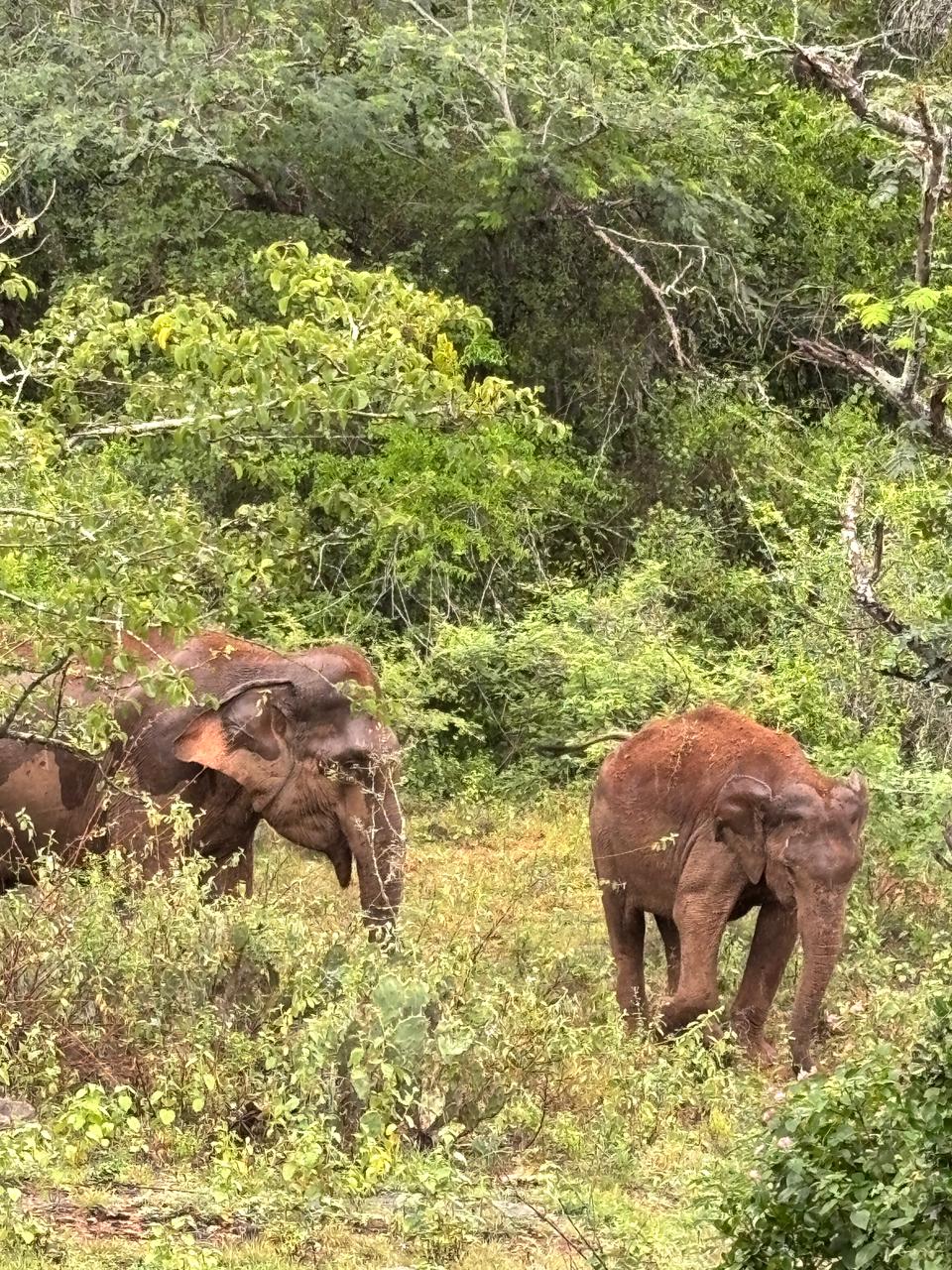 Munnar journey